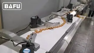 cake packaging machine,bread packaging machine,biscuit packaging machine,flow wrapper,flow-pack