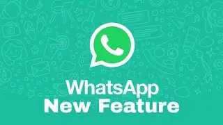 How to delete wrongly sent messages in WhatsApp