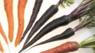 Gulerod