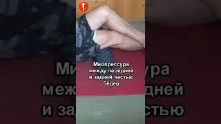 Бодибилдинг. 12. Самомиопрессура задней части бёдер #shorts #натуральный #культуризм #фитнес #спорт