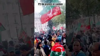 Pti uk protest