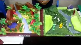 School project - plains and forest