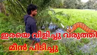 വെള്ളകുപ്പിയിൽ മീൻപിടുത്തം /fishing /snakehead fishing