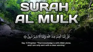 Peaceful Recitation | Calm Heart and Faith &ndash; Surah Al-Mulk