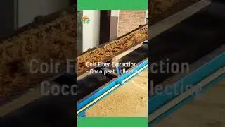 Step: 04 Coco peat collecting process / Coir fiber extraction line