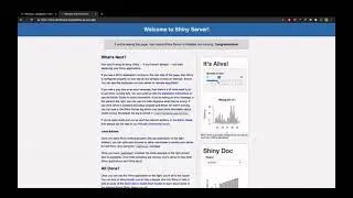 R Shiny on Cloud Run - Google Cloud Platform
