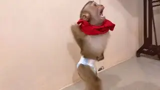 Smart Jason Adored To Tell Dad With Amusing Posture When Upset Teasing Mom
