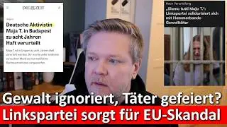 Linke verteidigt verurteilten Gewalttäter – EU-Parlament solidarisch mit Antifa?