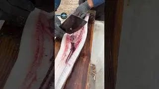 Conger eel cutting skills!