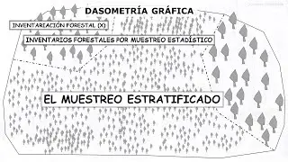MUESTREO ESTRATIFICADO