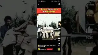 amazing facts about India