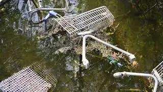 Nature VS Humans