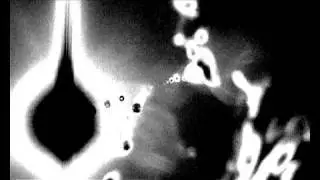 Kyte — ihnfsa (Official)