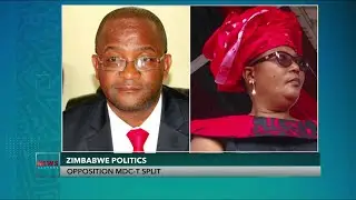 Zimbabwe Politics; Opposition Movement for Democratic Change Spilit
