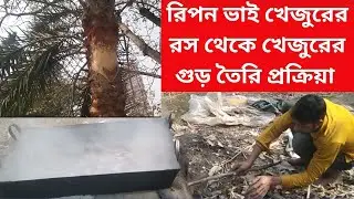 Date Palm Juice to Process  রিপন ভাই খেজুরের রস থেকে খেজুরের গুড় তৈরি প্রক্রিয়া Khejur Gur Recipe