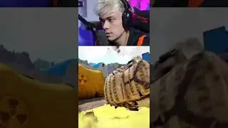 Найти и уничтожить точку Wallbang в Тунисе!