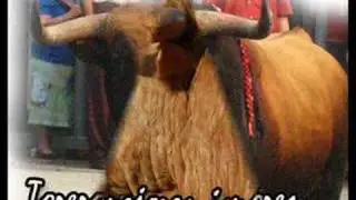 VIDEOCLIP PROMOCIONAL TOROS EN ESPA&Ntilde;A