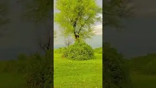❤️&zwj;🩹🥀gudwalian view 🦋🍫