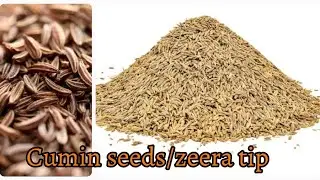 ZEERA TIP /How TO WASH CUMIN SEEDS/زیرہ کو صاف کس طرح کیا جائے #short #shortsvideoviral #shortvideo