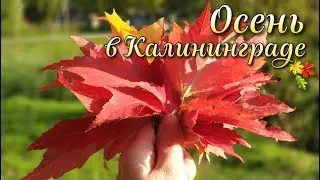 Осень в Калининграде 2019, парк Южный
