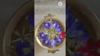 urli pot decoration ideas ##/##simple##/##ytshorts##/##youtubeshorts##/Water flower ideas ##
