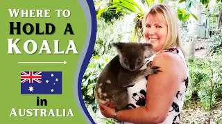 Where to hold a Koala in Australia