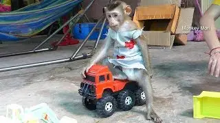 Wow Baby Monkey Mori Enjoy Ride Toy Truck Very Happy