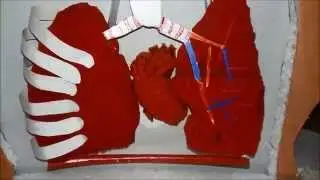 Science Exhibition Video 2015-16