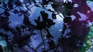 fractus processor - evening coherence