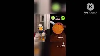 9 Minutes of @DonaldDucc Guessing Everything Wrong! (Compilation)