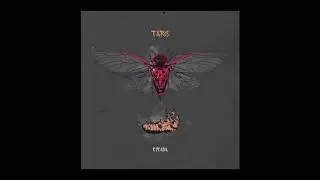Taro - &Epsilon;&nu;&delta;&omicron;&rho;&phi;ί&nu;&epsilon;&sigmaf;