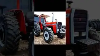 Trator Massey Ferguson 290 - Verdadeira Lenda Melhor trator MF 290 4x4