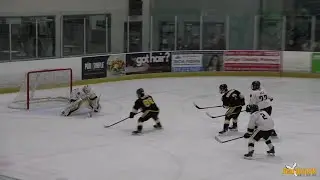 Хоккей среди игроков до 18 лет - Sarnia-Lambton Jr. Sting против Waterloo Wolves