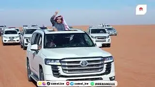 منقية رسامات لمالك الإبل  سيف بن سعد الرسام القحطاني
