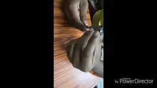 Linc executive vs hauser sonic gel pen
