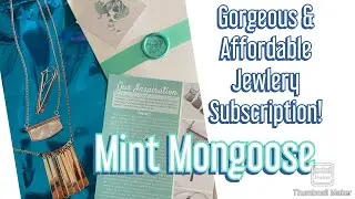 MintMongoose💍affordable jewelry subscription!!!!