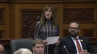 Brady again calls on Ford government to cover PSA tests