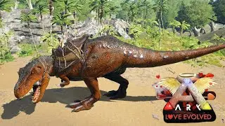 Ark Survival Evolved | Day 8