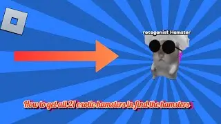How to get all 21 exotics in find the hamsters FTH