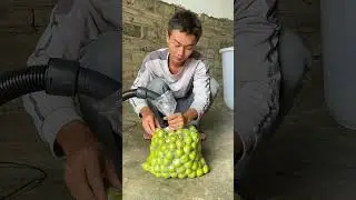 Home Simple Way To Do Plums Bag Vacuum Package !