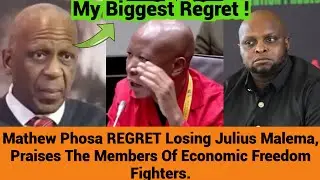 Mathew Phosa REGRET Losing Julius Malema, Praises The Members Of Economic Freedom Fighters.