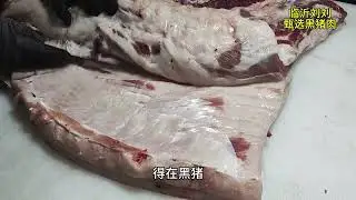 膘肥膘薄能代表猪肉的品质吗，时间长健康就好#美食 #原创视频 #肥肉#膘油#黑猪