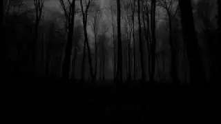 Shape Of Despair - Down Into The Stream