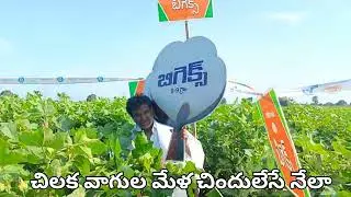 TATA PRODUCT-BIGEX COTTON 