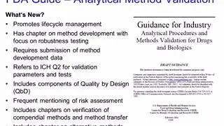 Validation of Analytical Methods according to the New FDA Guidance