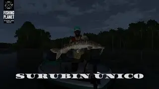 Fishing Planet Rio Negro Brasil Surubin &Uacute;nico
