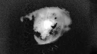 Cursed Earth - Burn