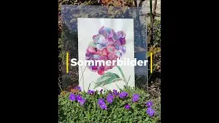 Sommerbilder 2025