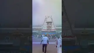 Karthika masa special, Huge devotees rush at tirumala. #trending #tirumala #lordvenkateshwara