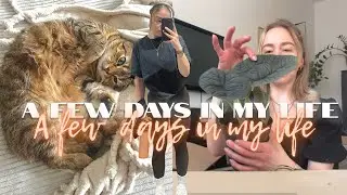 Pflanzen unboxing, unangenehme Gym Situation, erstes Coaching | Vlog #6